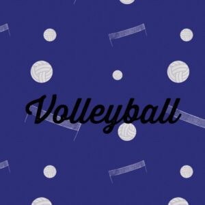 Volleyball Gear