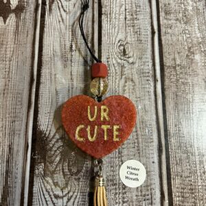 U R Cute Heart Freshie