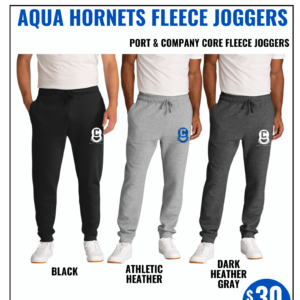 Aqua Hornets Fleece Joggers