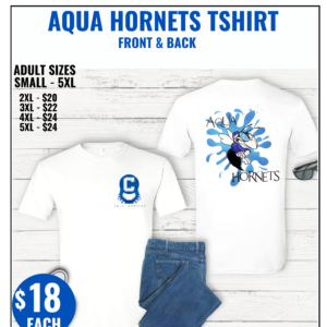 Aqua Hornets T-Shirt Front & Back Design
