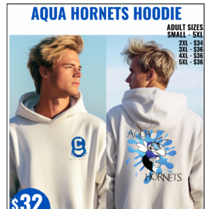 Aqua Hornets Hoodie