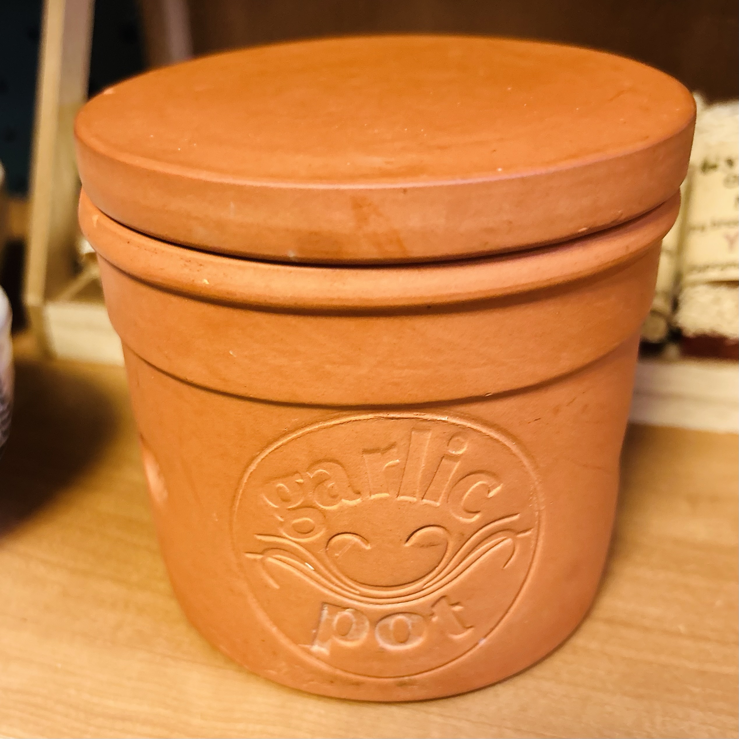 Terracotta Garlic Pot