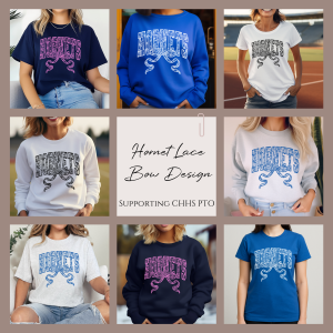 Hornets Lace Bow Collection