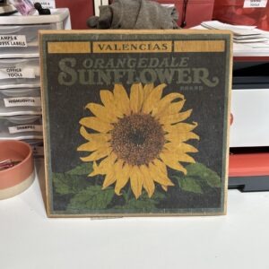 Valencias Orangedale Sunflower Brand Target Vintage Fruit Wall Art